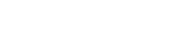 logo_macsim 2.png